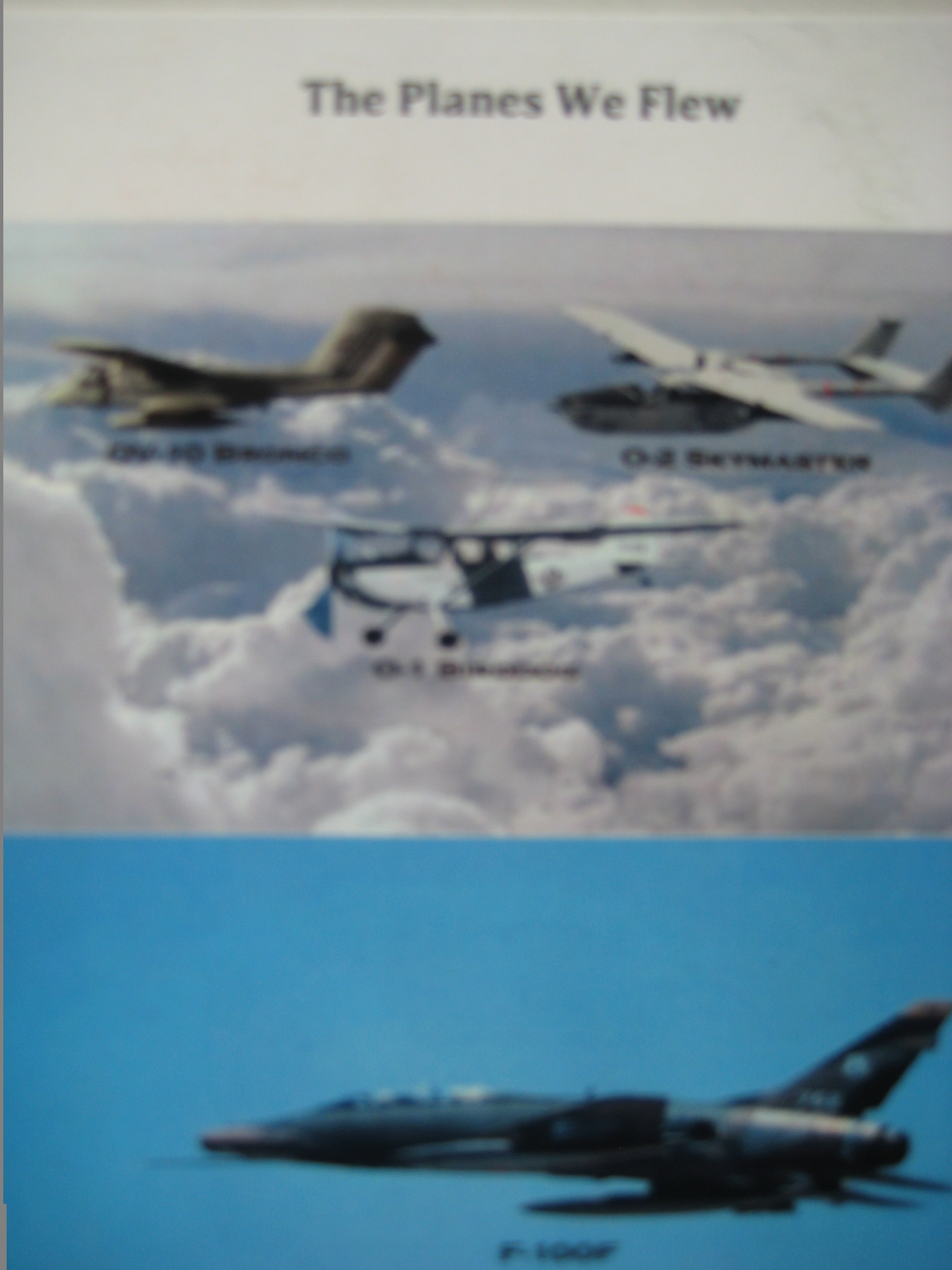 FAC Forward Air Control Aircraft of the Viet Nam War, all flown by the bravest of the brave
