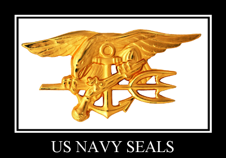 Navy Seal insignia, an elite hard earned emblem